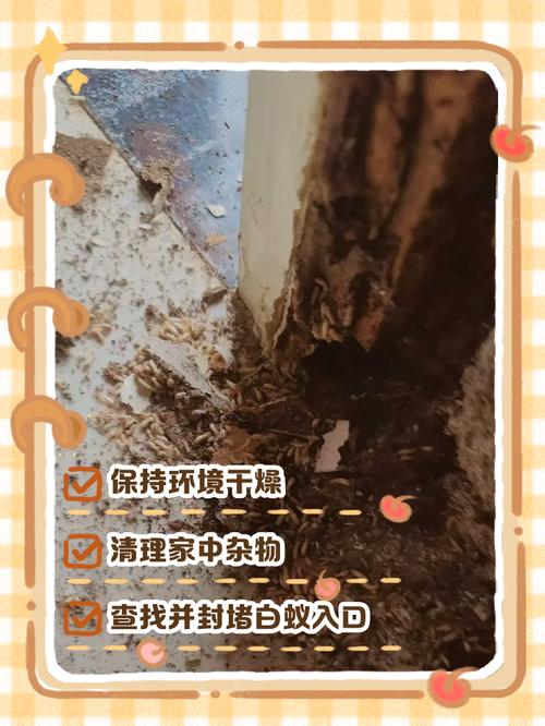 灭白蚁最有效的方法_灭白蚁用什么药效果好_灭白蚁最快的方法