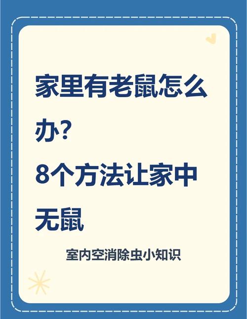 简单家庭灭鼠方法图片_家庭灭鼠的方法_家庭灭鼠最简单方法