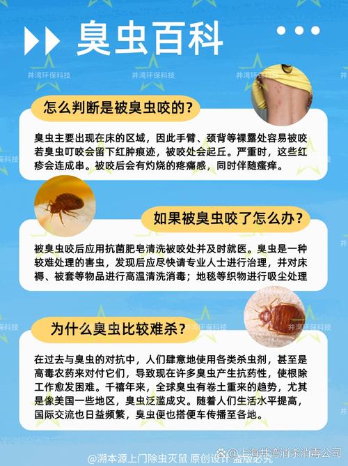 臭虫消杀公司_灭臭虫公司_灭臭虫公司上门