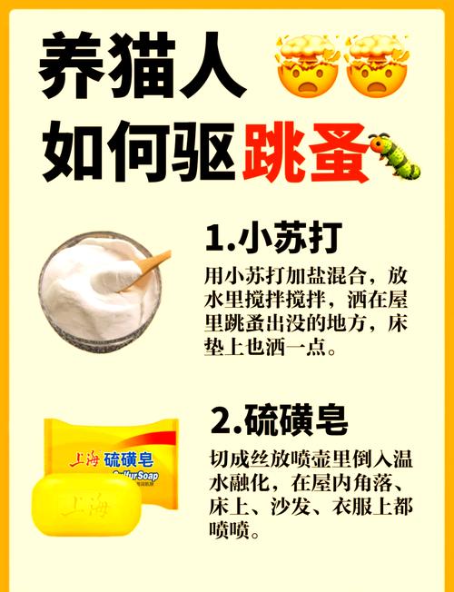 驱跳蚤有效方法有哪些_驱跳蚤有效方法是什么_驱跳蚤最有效的方法