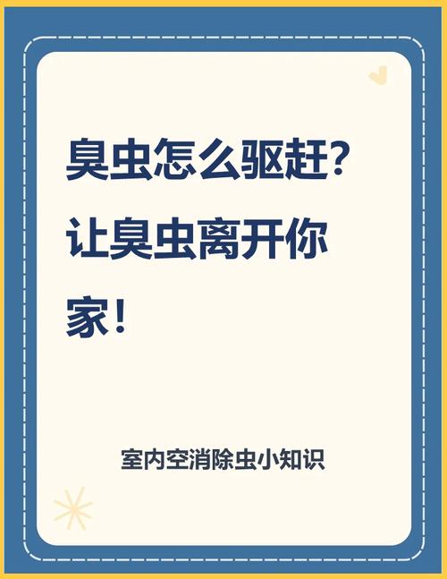 臭虫怎么处理干净_臭虫最有效的方法_臭虫有效方法是什么