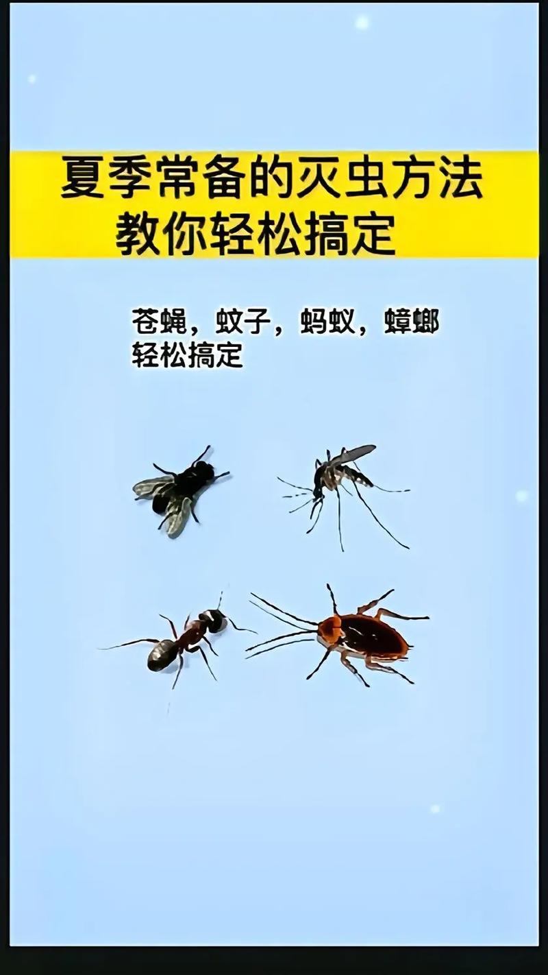 如何赶走蝇子_驱赶蝇子最快的办法_驱赶办法蝇子怎么办