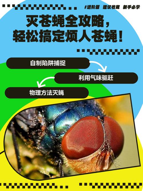 驱赶办法蝇子怎么办_驱赶蝇子最快的办法_如何赶走蝇子